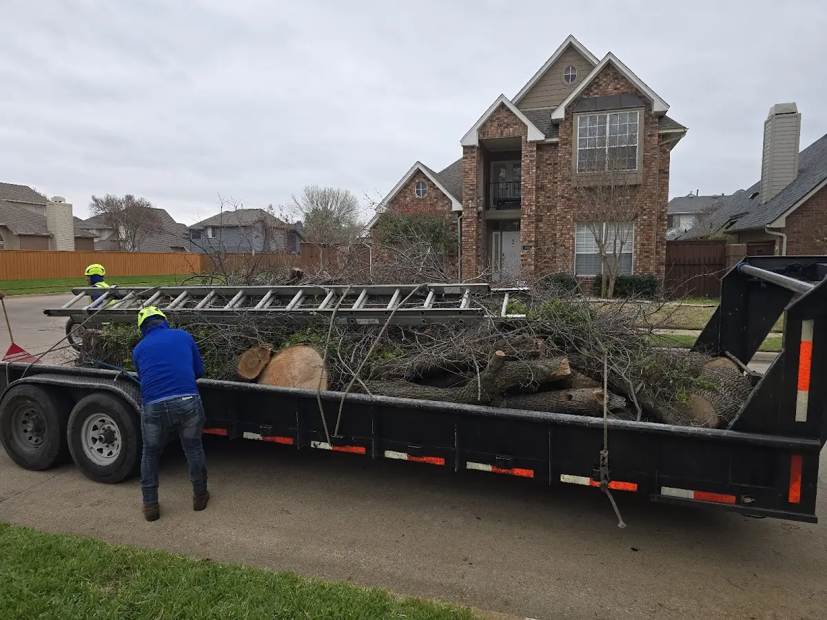 Expert Lot Clearing with proper safety equipment in Delta